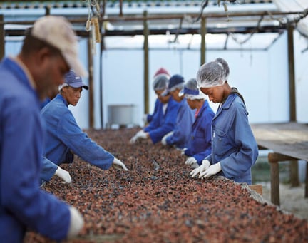 People working on agricultural project